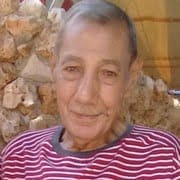 صادق الحموي